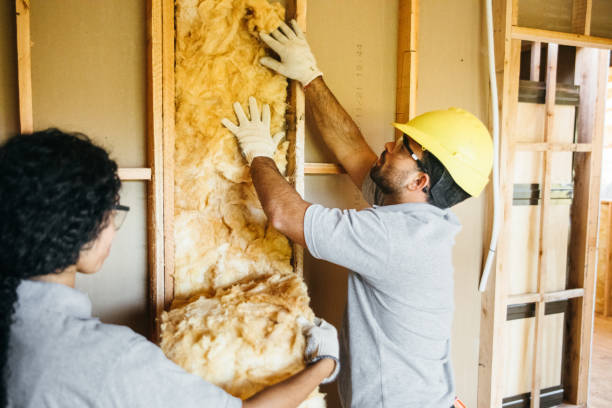 Insulation Replacement Services in Irvington, NY